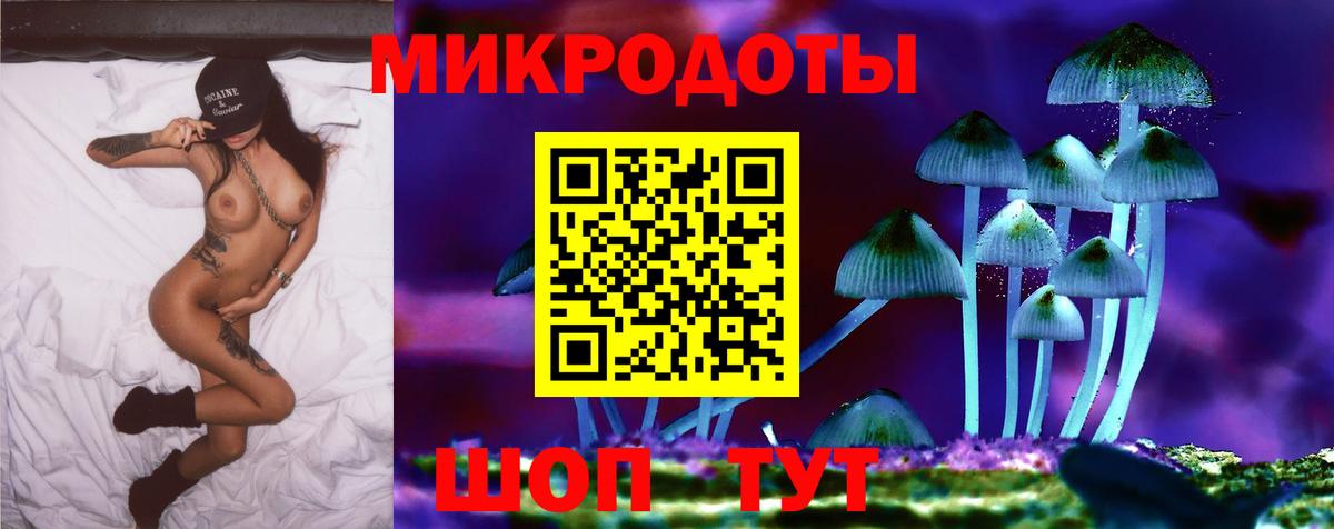 Псилоцибиновые грибы GOLDEN TEACHER Комсомольск-на-Амуре