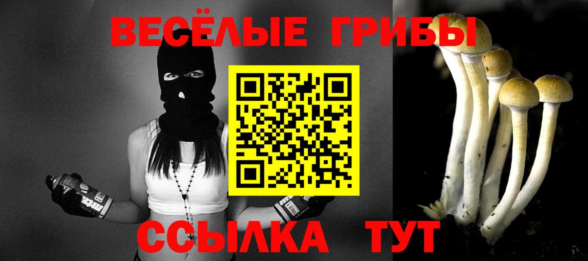 Комсомольск-на-Амуре  Псилоцибиновые грибы Psilocybine cubensis  Вход с VPN 